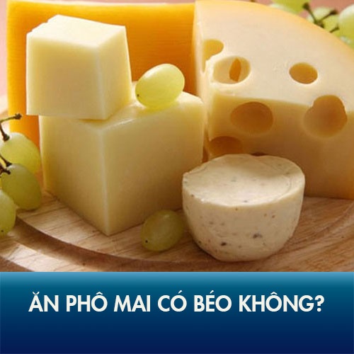 ăn phô mai có béo không