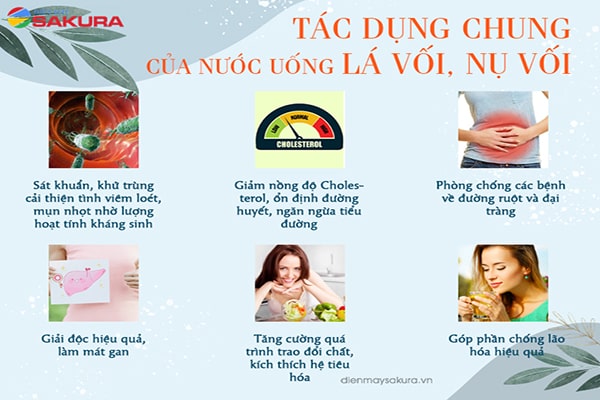 lưu ý khi uống nước vối