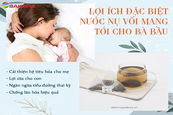 lợi ích nước vối