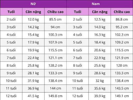 chiều cao cân nặng chuẩn theo độ tuổi từ 2 đến 12 tuổi