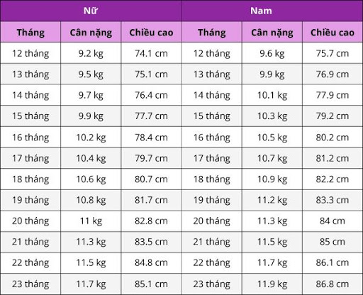 chiều cao cân nặng chuẩn theo độ tuổi từ 12 đến 24 tháng