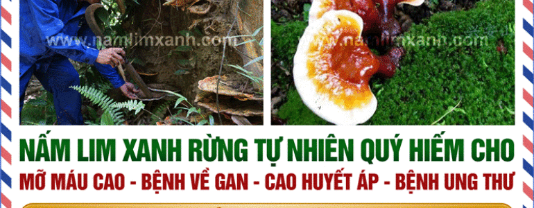 Bệnh viện Bình Dân thông tin địa chỉ và bảng giá lịch khám bác sĩ giỏi