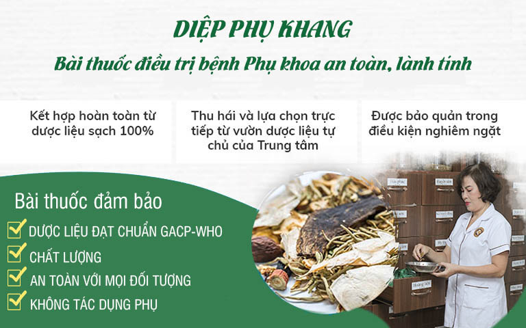 Thành phần, công dụng bài thuốc Diệp Phụ Khang chữa bệnh Phụ khoa