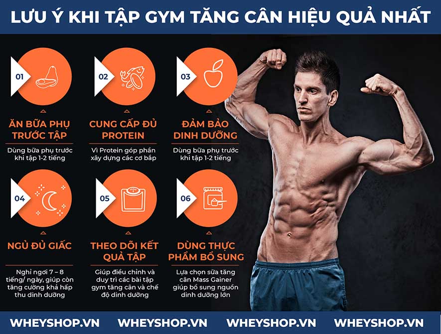 Tìm hiểu ngay 7 bài tập gym tăng cân nhanh hiệu quả khi kết hợp với chế độ ăn tăng cân dành cho người gầy lâu năm, khó hấp thu dinh dưỡng, hiệu quả 100%