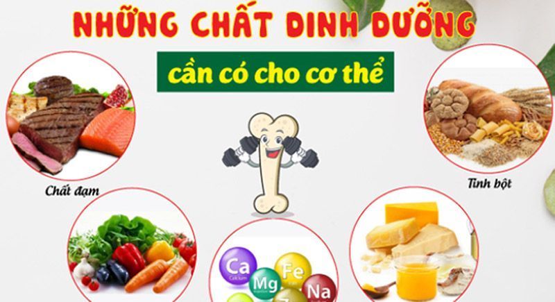 Các dưỡng chất cần thiết cho cơ thể