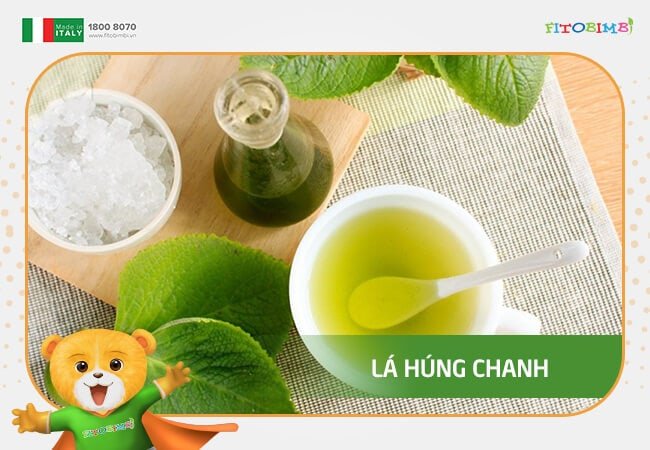 Lá húng chanh trị ho cho bé dưới 6 tháng