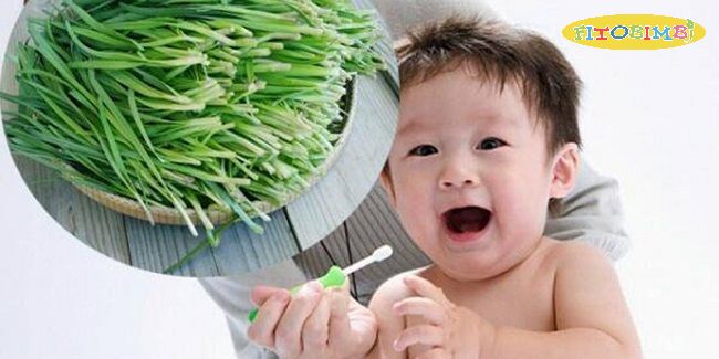 Tác dụng chữa ho từ lá hẹ