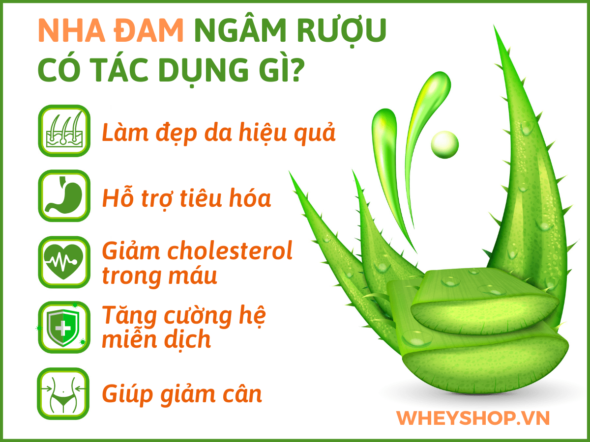 Nếu bạn đang tìm cách chữa rát mặt khi hàn thì hãy cùng WheyShop tham khảo ngay 3 cách đơn giản, dễ dàng thực hiện sau đây nhé...