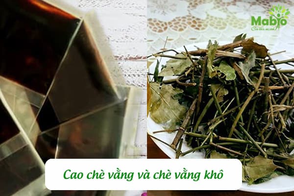 Cao chè vằng và chè vằng khô