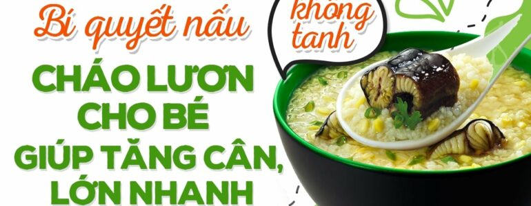 Bí quyết nấu cháo lươn cho bé không tanh giúp tăng cân lớn nhanh