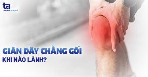 Cấu tạo dây chằng đầu gối