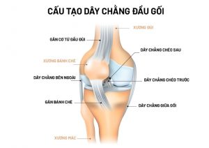 bài tập duỗi gối thụ động