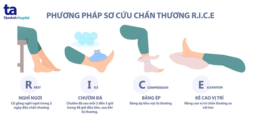 bài tập cơ tứ đầu