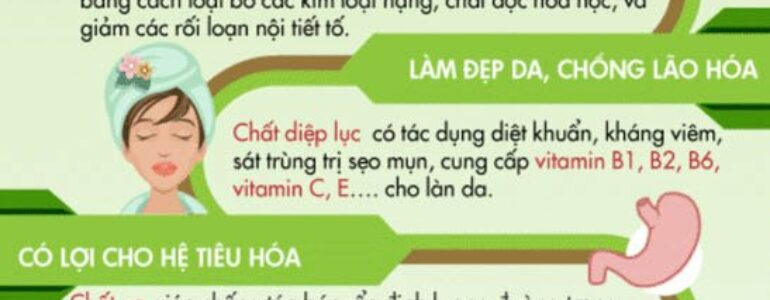 12 Công dụng của bột trà xanh matcha mới nhất [2021] – Chính Sơn