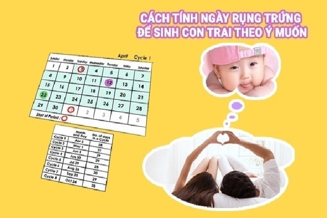 Quan hệ đúng thời điểm rụng trứng để tăng khả năng sinh con trai