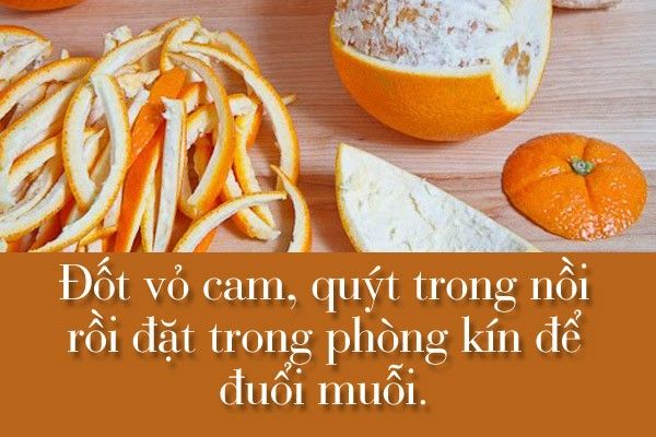 Muỗi sợ mùi vỏ cam, quýt, bưởi