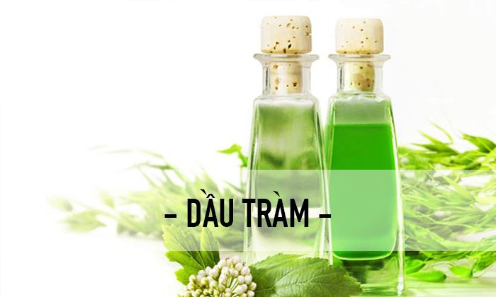 Muỗi sợ mùi dầu tràm