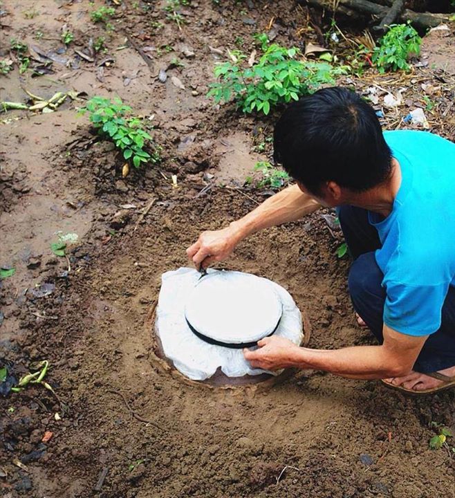 Ngâm rượu cho bà đẻ