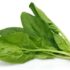 Rau spinach là rau gì? Những lợi ích bất ngờ của rau spinach