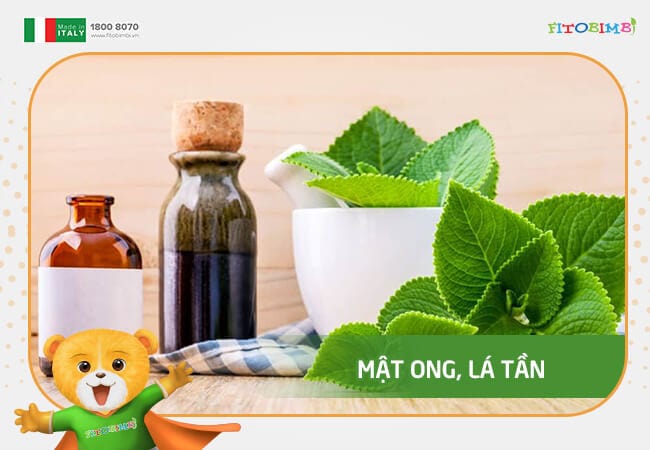 Cách chưng lá tần dày với mật ong