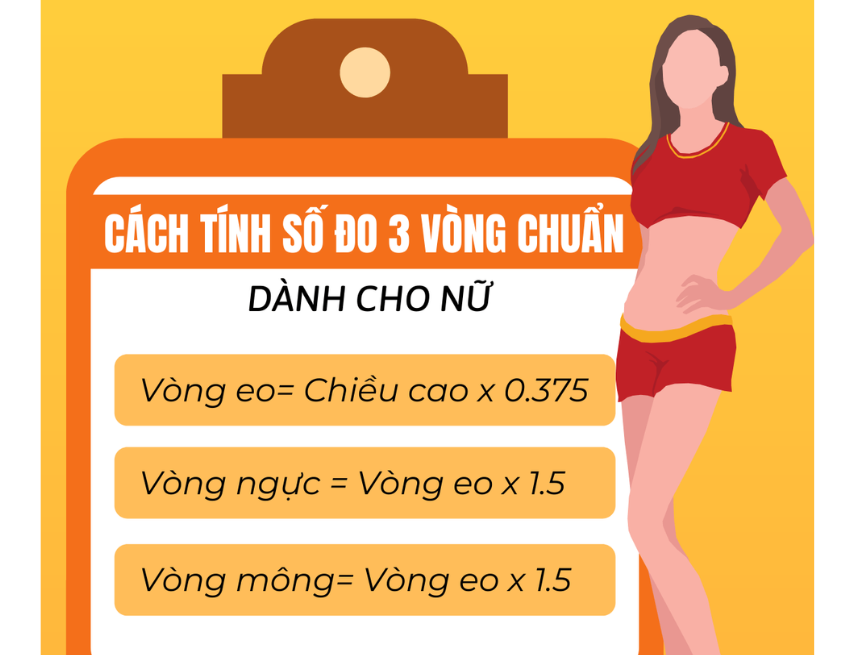 Lưu ý khi đo số đo 3 vòng của nữ