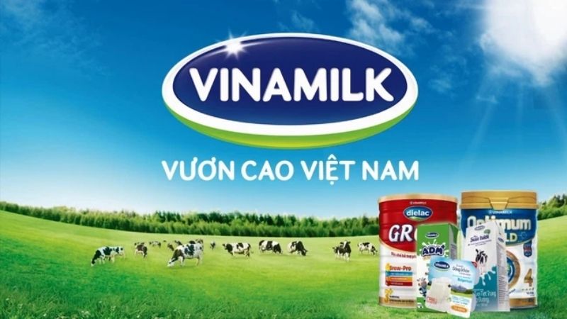 Đôi nét về thương hiệu Optimum