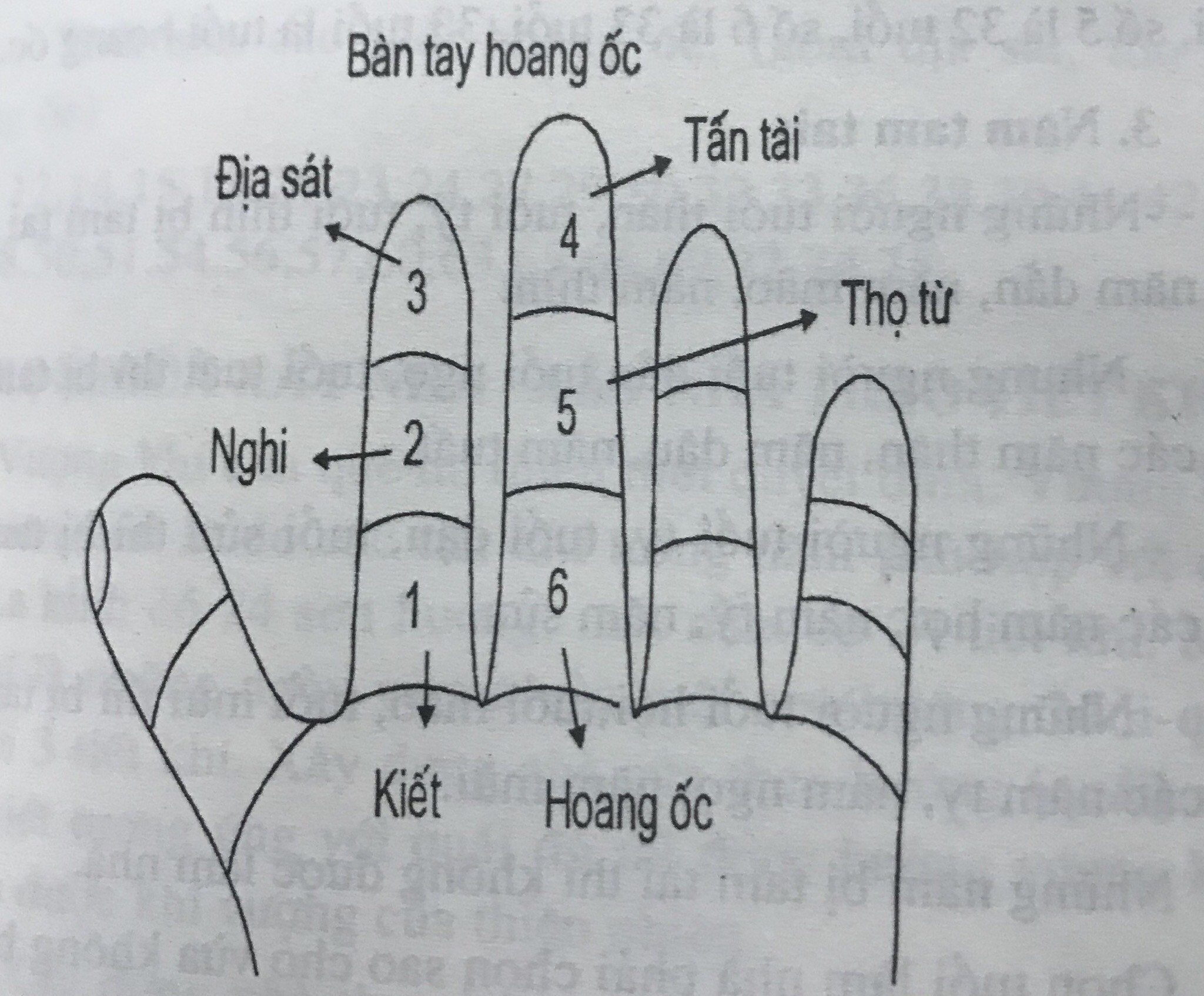 Cách tính tuổi âm lịch-3