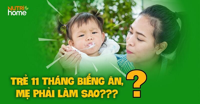 Dấu hiệu trẻ 11 tháng biếng ăn