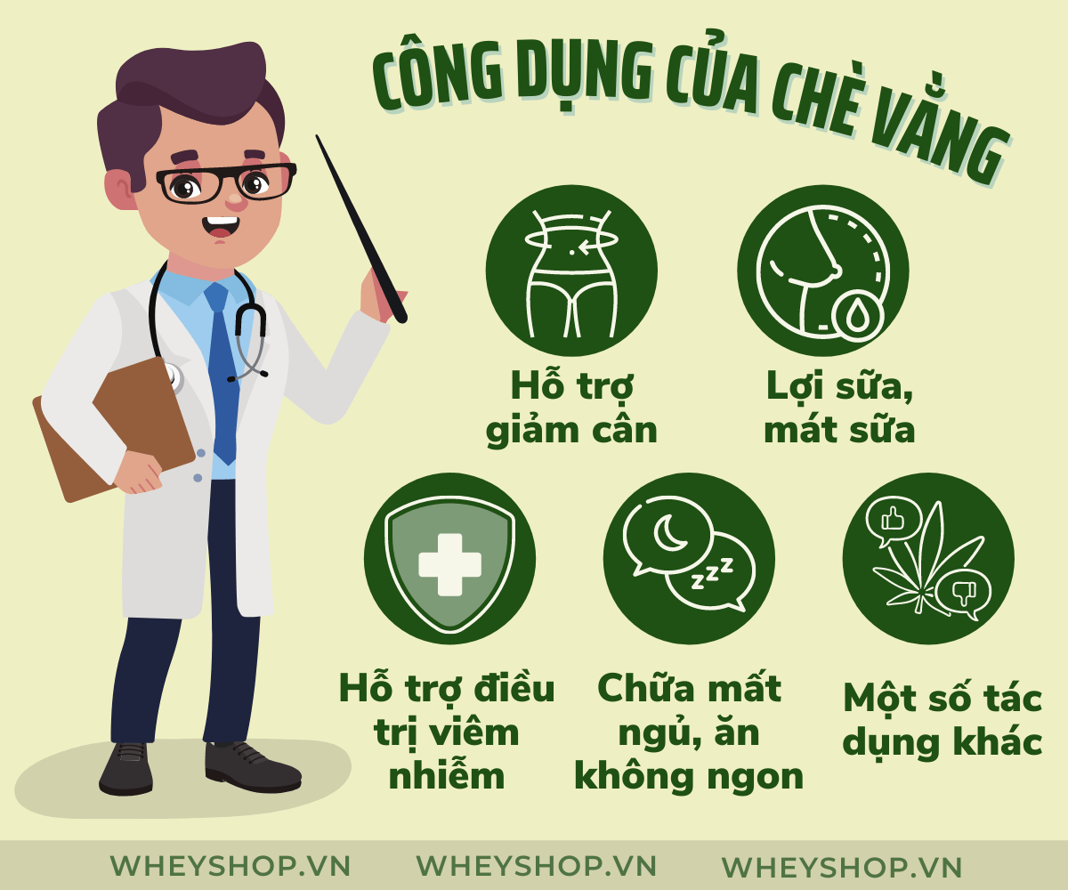 Chè vằng là loại đồ uống không còn quá xa lạ với người dân Việt Nam. Uống chè vằng giảm cân không? Bài viết này WheyShop sẽ cùng các bạn tìm hiểu chi tiết về...