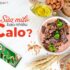 SỮA MILO BAO NHIÊU CALO? UỐNG NHIỀU CÓ BÉO KHÔNG?