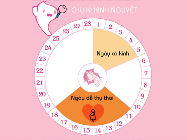 Cách tính sinh con gái theo ngày rụng trứng