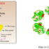 Xét nghiệm hs-CRP(high-sensitivity C-Reactive Protein)