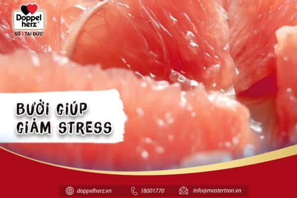 Bưởi giúp giảm stress