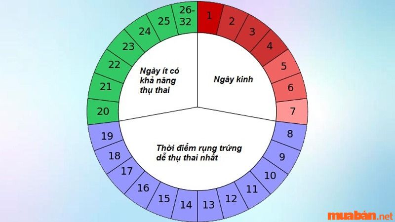 Cách tính sinh con trai bằng cách theo dõi chu kỳ kinh nguyệt