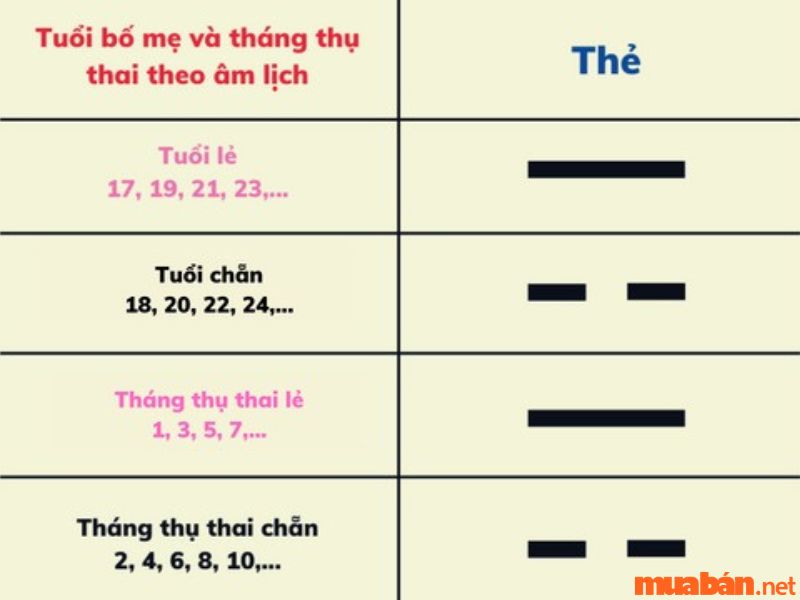 Tính theo quẻ bát quái