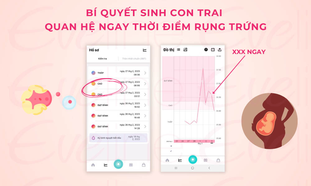 Bí kíp quan hệ ngay thời điểm rụng trứng để sinh con trai