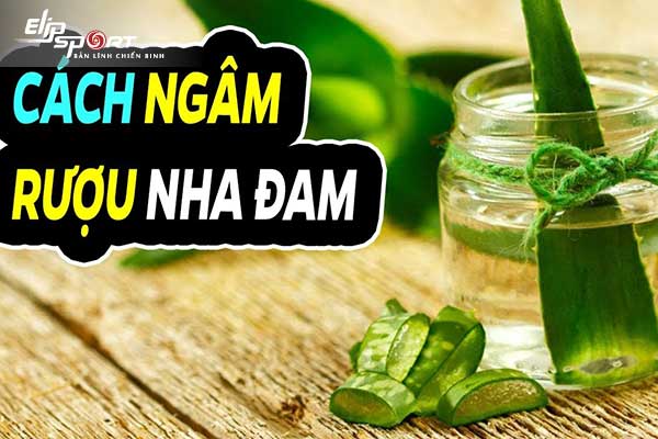 nha đam ngâm rượu