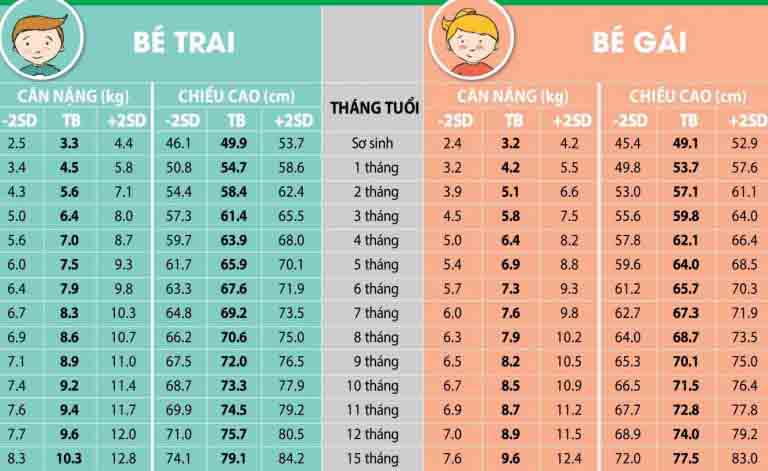 Số đo chiều cao và cân nặng của nam và nữ (BMI) đạt tiêu chuẩn