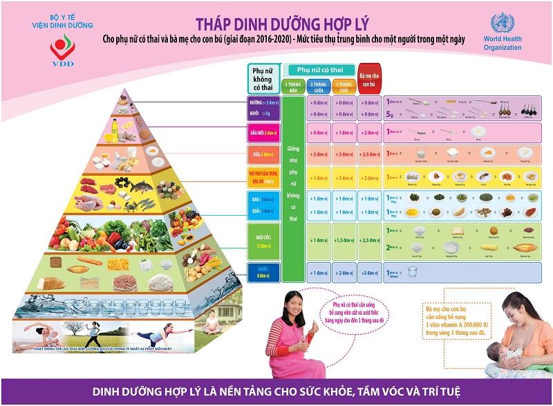 Tháp dinh dưỡng của Viện Dinh Dưỡng quốc gia với mẹ cho con bú