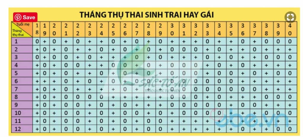 Dự đoán giới tính thai nhi theo lịch vạn niên