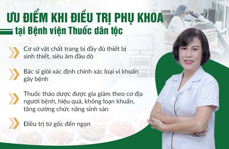 Thành phần, công dụng bài thuốc Diệp Phụ Khang chữa bệnh Phụ khoa