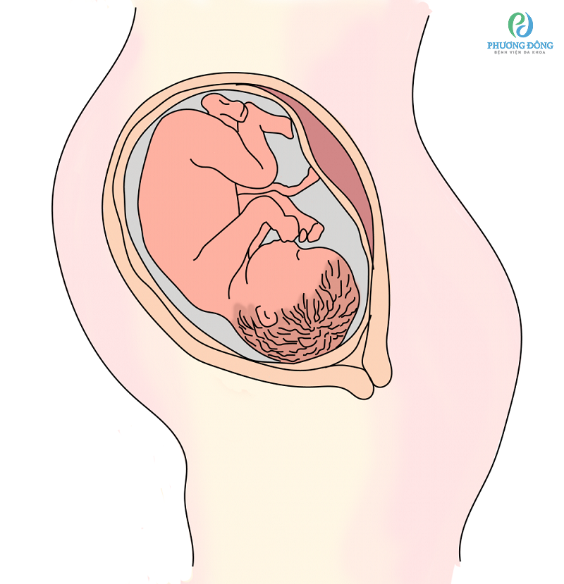 Nước ối môi trường sống tuyệt vời cho thai nhi