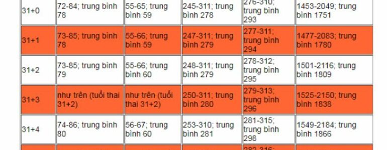 Thai nhi tuần thứ 30 đã phát triển tới mức nào?