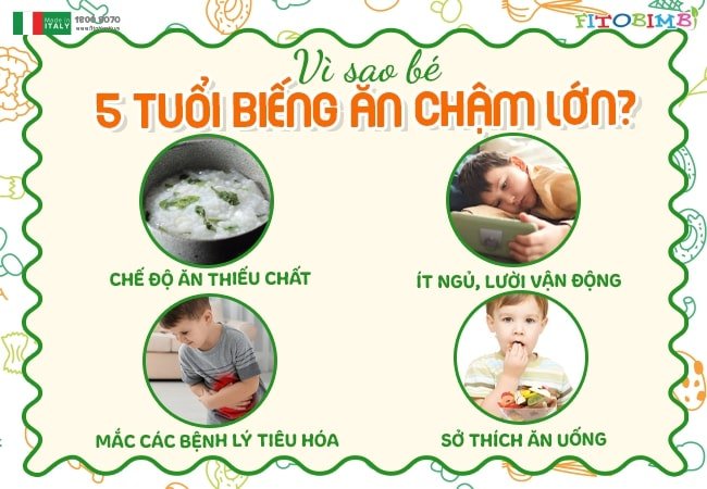 Bé 5 tuổi lười ăn do nhiều lý do