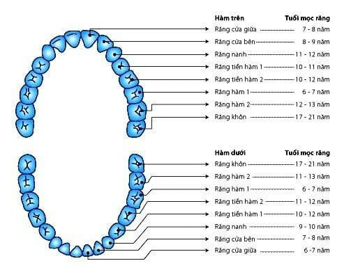 nhổ răng khôn ở nhật mất bao nhiêu tiền