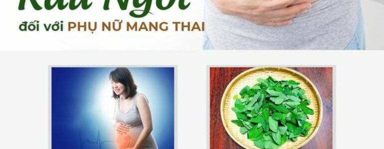 Những loại rau bà bầu không nên ăn để có một thai kỳ an toàn