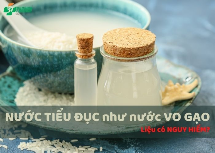 nước tiểu đục như nước vo gạo là bệnh gì, nước tiểu có màu trắng đục như nước gạo, đái đục như nước vo gạo, nước đái đục như nước gạo, nước tiểu có màu đục như nước gạo, tiểu đục là bệnh gì