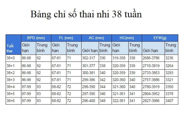 Chỉ số cân nặng của thai nhi ở tuần 38