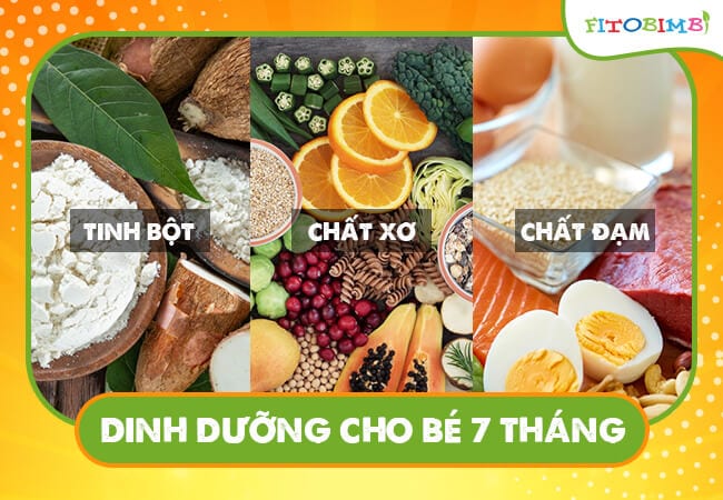 Bé 7 tháng cần nhóm chất nào?