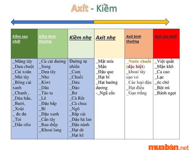 Các loại thực phẩm giúp hỗ trợ sinh con trai, con gái